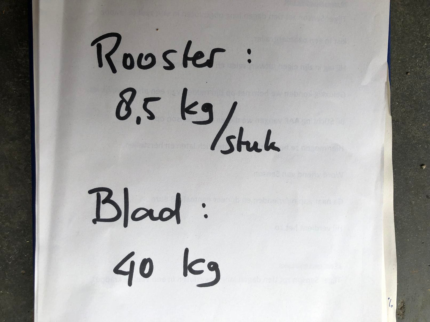 Wastafel voor overledenen, kantelbaar voor islamitische bewassing